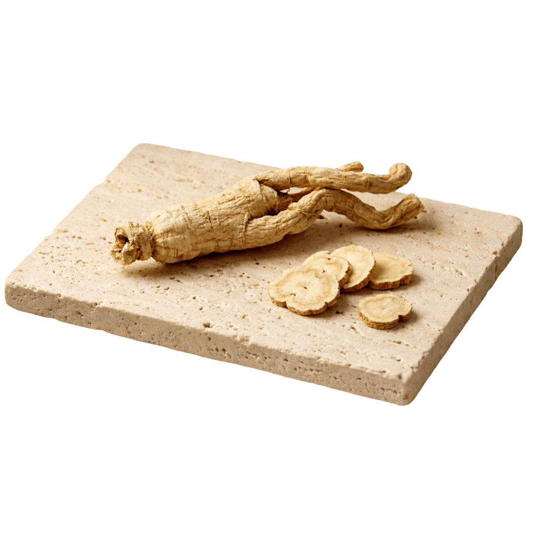 Ginseng Radix Alba (White Ginseng)